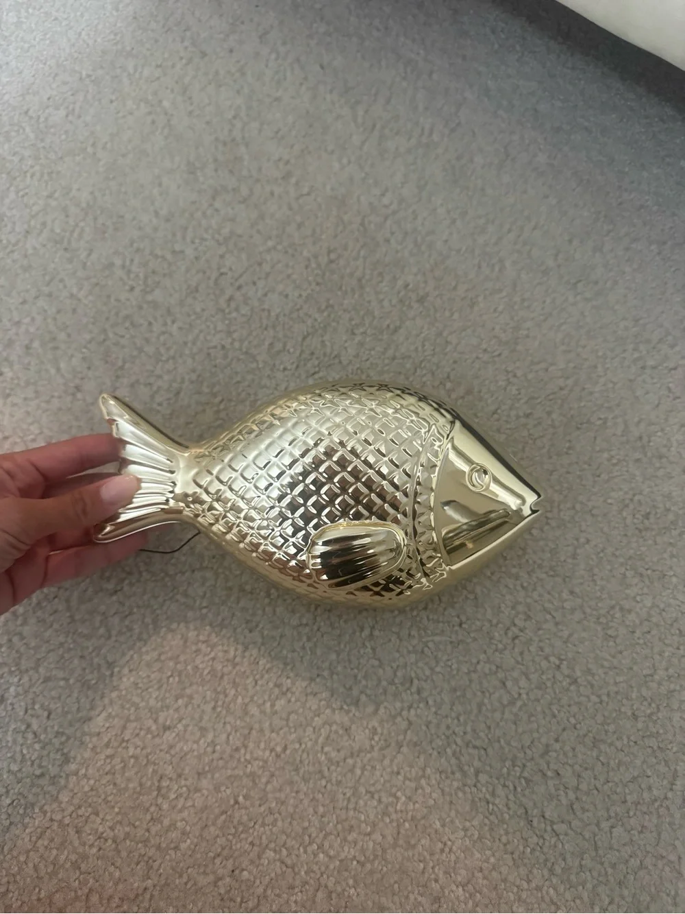 Zara bag fish